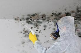 Best Black Mold Removal  in Renovo, PA